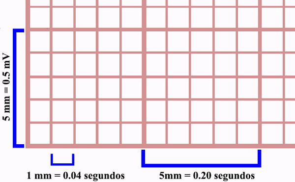 Papel del electrocardiograma